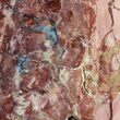 Polished Brecciated Pink Opal - Australia (Special Price) #64783-1